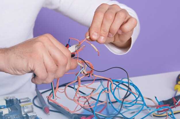 Selecting the Right Wiring Components for Your Birkin
