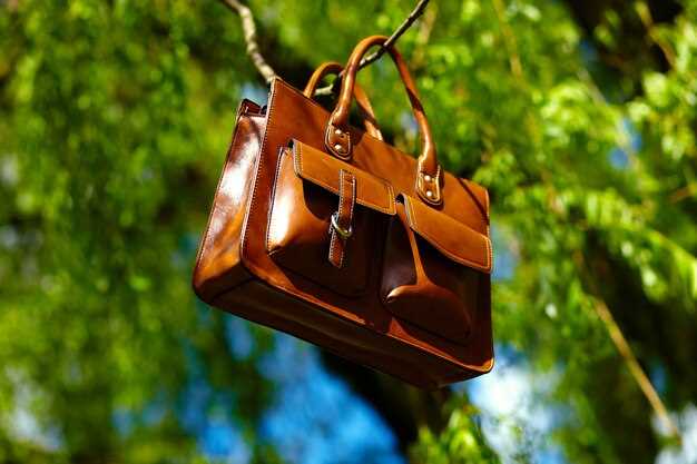 The History and Evolution of the Birkin S3